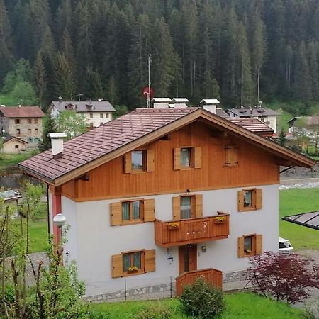 B&B Il Tulipano Сан-Пьетро-ди-Кадоре Экстерьер фото