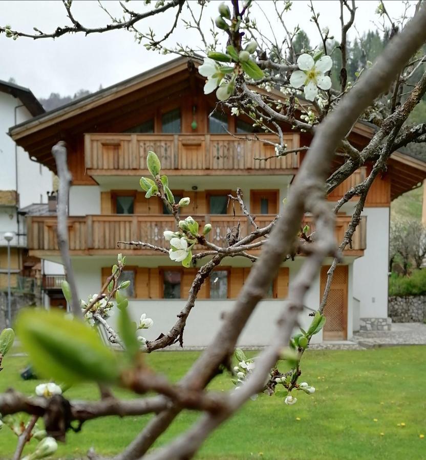 B&B Il Tulipano Сан-Пьетро-ди-Кадоре Экстерьер фото