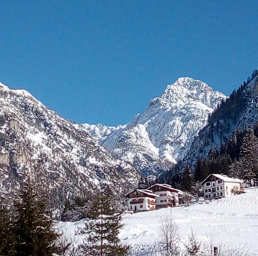B&B Il Tulipano Сан-Пьетро-ди-Кадоре Экстерьер фото