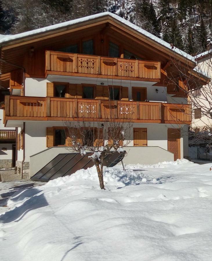 B&B Il Tulipano Сан-Пьетро-ди-Кадоре Экстерьер фото