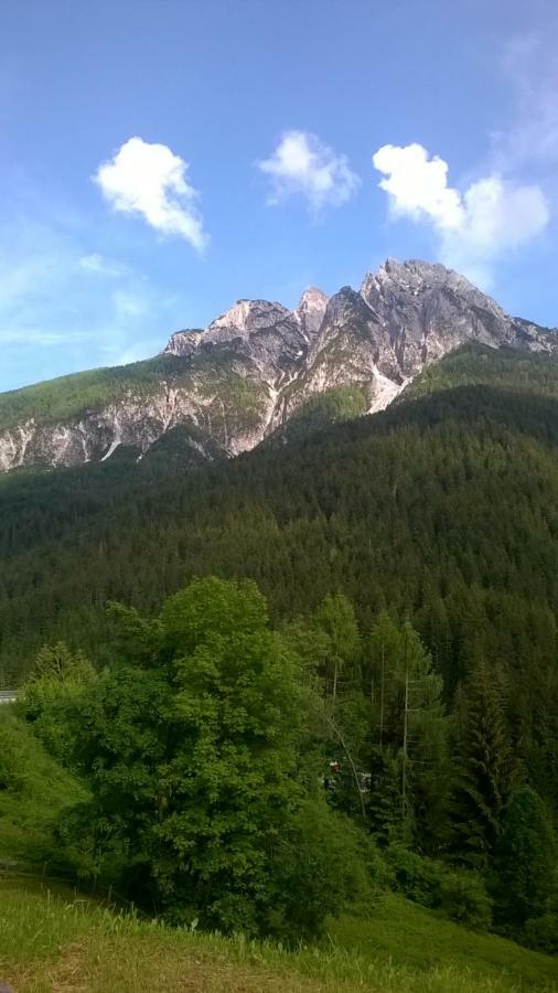 B&B Il Tulipano Сан-Пьетро-ди-Кадоре Экстерьер фото